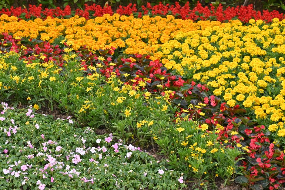 Beautifully designed landscaping garden beds